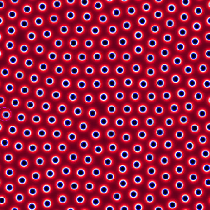 madrepore_simulation_spots.png