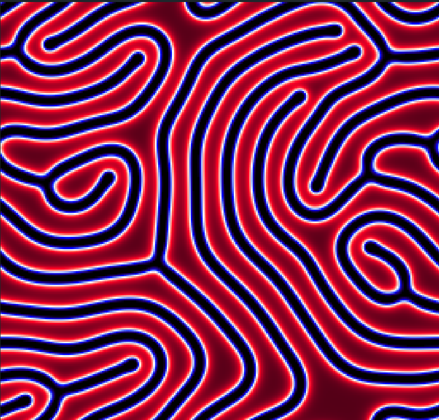 madrepore_simulation_stripes2.png